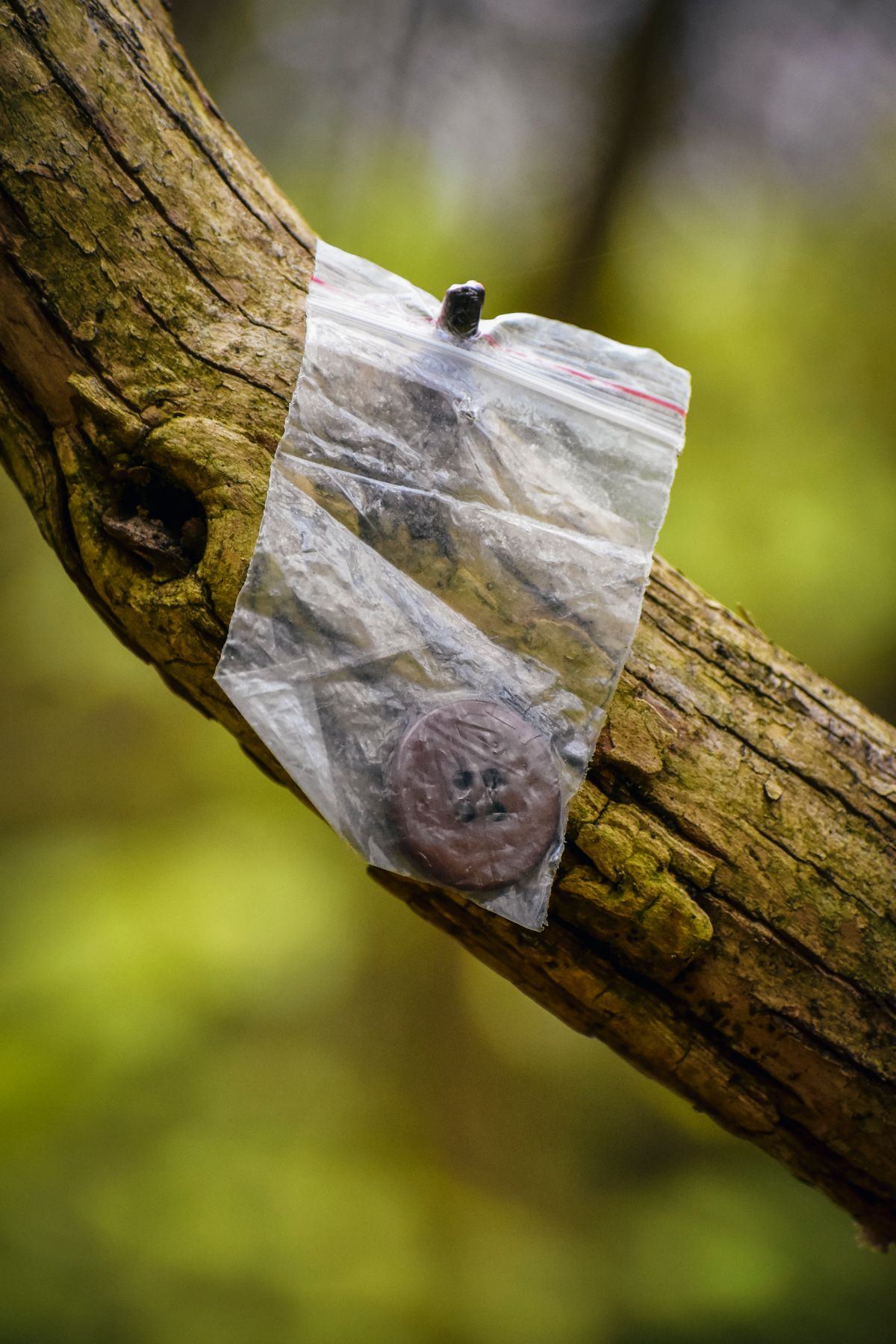 Biorazgradiva plastika: Budućnost ekološkog pakovanja